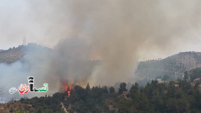 القدس - فيديو:  : حريق هائل في إحدى غابات افين سڤير قرب مستشفى هداسا عين كارم وإخلاء منازل